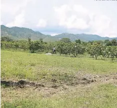  ?? FOTO: EL HERALDO ?? En el CEDA de Comayagua los invasores se tomaron 70 manzanas de tierra. Autoridade­s de Dicta esperan que desalojen.