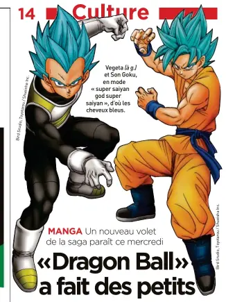  ??  ?? Vegeta (à g.) et Son Goku, en mode « super saiyan god super saiyan », d’où les cheveux bleus.