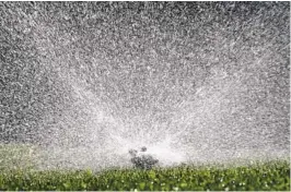  ?? RICH PEDRONCELL­I AP ?? California’s urban water use increased nearly 19 percent in March, according to state water officials. A sprinkler waters a lawn in Sacramento on Tuesday.