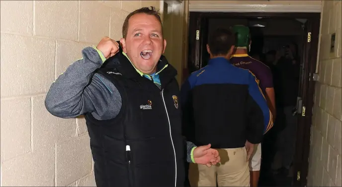  ?? Ray McManus / SPORTSFILE ?? Davy Fitzgerald celebrates Wexford’s victory over Kilkenny on Saturday evening.