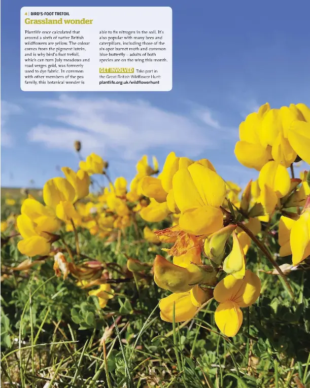 Grassland wonder PressReader