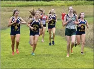  ?? SKIP TRAYNOR — FOR MEDIANEWS GROUP, FILE ?? The Shepherd girls cross country team finished runnerup in D3 last fall, yet moves to D2 in 2020 as one of the smallest schools in the division.