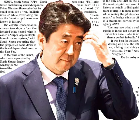  ??  ?? JAPANESE Prime Minister Shinzo Abe.