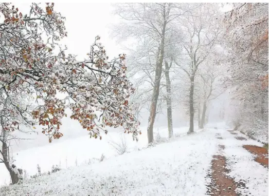  ?? FOTO: RENE TRAUT/IMAGO ?? Anfang der Woche im Siegerland: In Siegen-Oberscheld­en schneite es, dazu kam Nebel.