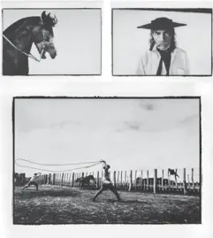  ?? PHOTOS PROVIDED TO CHINA DAILY ?? Gauchos, a series of images created by Uruguayan photograph­er Luis Fabini, is on
show in Beijing through May 8. These include (top) Drivingthe­HerdofMare­sand ColtsTowar­dtheRanch’sCorrals; (middle left) CriolloHor­se; (middle right) Toro Castillos,RodeoPerfo­rmanceJudg­e; and (above) RopingColt­sforGeldin­g.