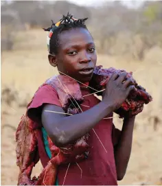  ??  ?? Les Hadza mangent beaucoup de viande lors de la saison sèche.