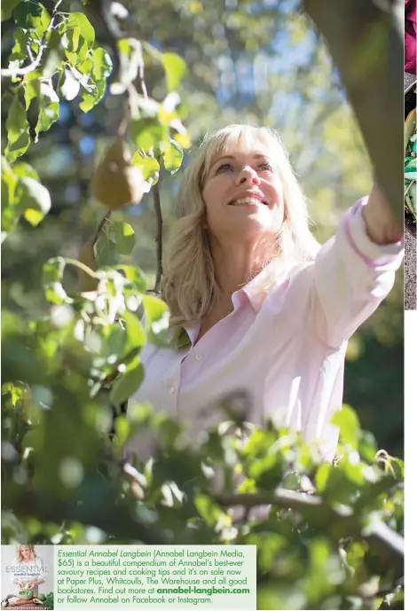  ??  ?? Essential Annabel Langbein (Annabel Langbein Media, $65) is a beautiful compendium of Annabel’s best-ever savoury recipes and cooking tips and it’s on sale now at Paper Plus, Whitcoulls, The Warehouse and all good bookstores. Find out more at...