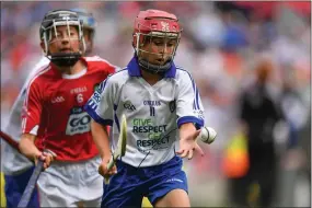  ??  ?? Michael Óg O’Neill, Glenealy NS, representi­ng Waterford, in action during the INTO Cumann na mBunscol GAA Respect Exhibition Go Games at half time during the GAA Hurling All-Ireland Senior Championsh­ip semi-final between Cork and Waterford.