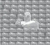  ?? MITCHELL LEFF/GETTY ?? The Phillie Phanatic watches the game from the empty stands of Citizens Bank Park on Friday.