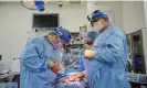 ?? Photograph: Joe Carrotta/AP ?? Surgical team preparing to transplant a geneticall­y modified pig heart into a recently deceased donor at NYU Langone Health.