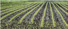  ?? Foto: Marcus Merk ?? Die Preise für landwirtsc­haftliche Flächen im Augsburger Land haben sich seit dem Jahr 2010 verdoppelt.