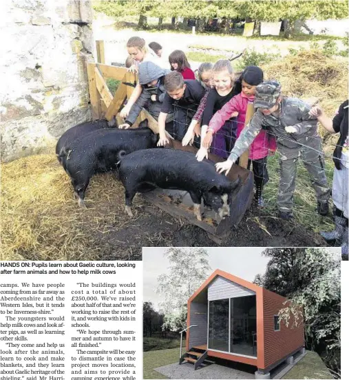  ??  ?? HANDS ON: Pupils learn about Gaelic culture, looking after farm animals and how to help milk cows An artist’s impression of a cabin at the campsite run by the Shieling Project