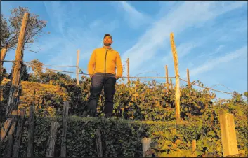  ?? Antonio Calanni The Associated Press ?? Winemaker Milos Skabar stands at his vineyard of the Prosekar variety in Prosecco, near Trieste, Italy. A battle is brewing over naming rights between Prosecco, Prosek and Prosekar. Prosecco has annual sales of $2.8 billion.