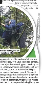  ??  ?? Leśnicy musieli wdrapywać się na wysokość 30 m