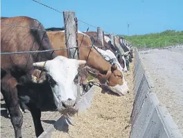  ??  ?? Más vacíos. Los feedlotero­s piden que se revise el régimen tributario.