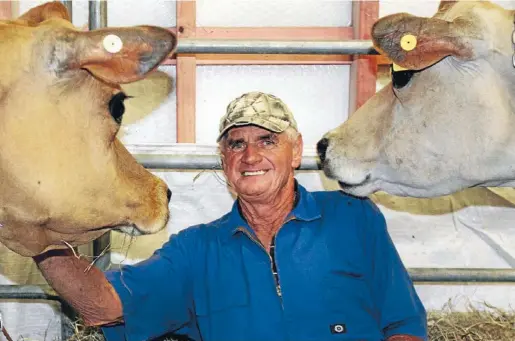  ?? Photos: WARWICK SMITH/FAIRFAX NZ ?? Royal connection­s: Don Ferguson, from Ferdon Genetics, with the cows he owns jointly with the Queen.