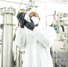  ??  ?? Extraction technician at Epican Rajiv Thompson holds a batch of freshly extracted cannabis oil.