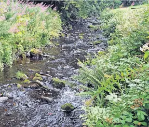  ?? ?? Near death experience Jean Dreghorn nearly lost her life
in the Brandy Burn