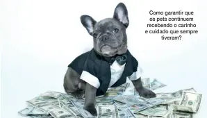  ?? ?? Como garantir que os pets continuem recebendo o carinho e cuidado que sempre tiveram?