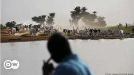  ??  ?? Faut-il que l'Etat négocie avec des groupes armés au Mali ?