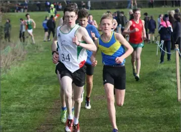  ??  ?? Eventual winner Joe Byrne (Gorey C.S.) leading them out in the Inter boys’ race.