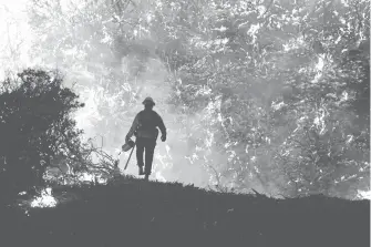  ?? ?? Los incendios
forestales debido a condicione­s secas y cálidas aumentaron