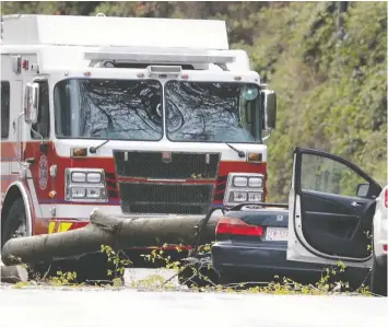  ?? SHANE MACKICHAN ?? A 100-foot cottonwood tree broke and fell down on Marine Way on April 12, killing a driver in one car and damaging another vehicle.