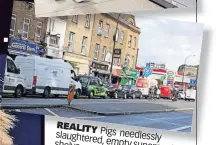 ?? ?? REALITY
Pigs slaughtere needlessly shelves d, empty and petrol supermark et pumps