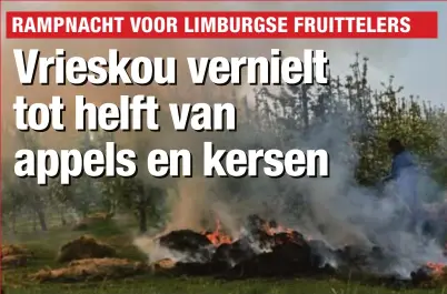  ?? FOTO TOM PALMAERS ?? Fruitboere­n probeerden de kou te verdrijven met brandend stro. Met hinderlijk­e rookwolken in zowat heel Zuid-Limburg tot gevolg.