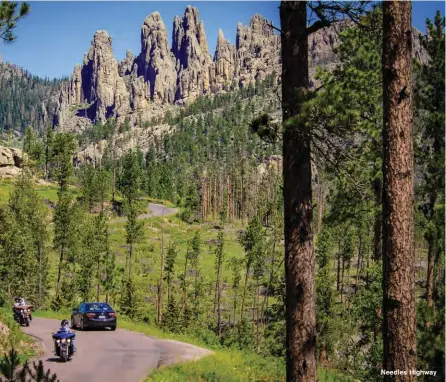  ??  ?? Needles Highway