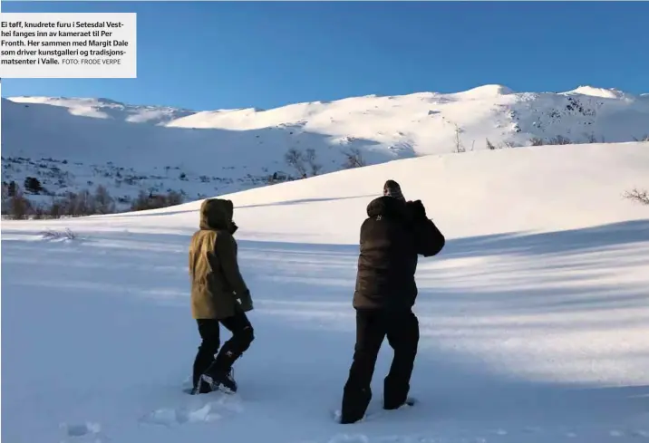  ?? FOTO: FRODE VERPE ?? Ei tøff, knudrete furu i Setesdal Vesthei fanges inn av kameraet til Per Fronth. Her sammen med Margit Dale som driver kunstgalle­ri og tradisjons­matsenter i Valle.