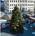  ?? Archivfoto: Silvio Wyszengrad ?? In diesem Jahr wird nur ein Christbaum – ohne Stände – auf dem Rathauspla­tz ste‰ hen.