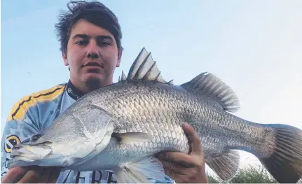  ??  ?? HARD WORK: Brody Eves landed this fat barra in the Haughton River last weekend after the fish resisted his initial efforts.