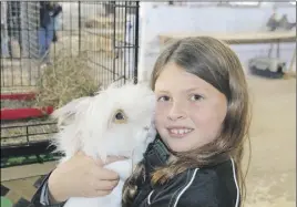  ?? LyNN CURwiN/ TC Media ?? A 4-H member and her rabbit in the Colchester County 4-H barn at the Nova Scotia Provincial Exhibition Grounds in Truro last fall.