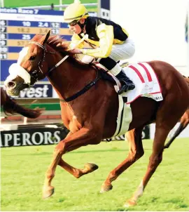  ??  ?? ROYAL COMMAND. Nother Russia could turn the tables on Silvan Star and Gimme Six and take the Empress Club Stakes at Turffontei­n tomorrow.