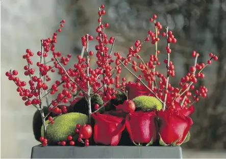  ?? JULIE OLIVER ?? Utilizing some easy-to-find items, a winter container can add festive colour to the holiday season.