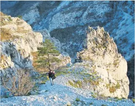  ?? / Foto: Katja Petrovec ?? Po Glinščici je speljana cela vrsta pohodniški­h poti, v navpične stene pa se podajajo tudi alpinisti.