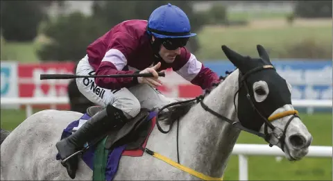  ??  ?? Disko, with Seán Flanagan up, on their way to winning the Flogas Novice Steeplecha­se at Leopardsto­wn on Sunday.