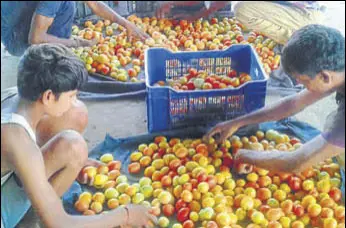  ?? HT PHOTO ?? Farmers say they are forced to sell their produce in Delhi at ₹3 to ₹4 per kg as the region lacks proper local markets.