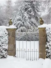  ??  ?? ABOVE The formality of the main garden gives way to a more relaxed style in the
productive walled kitchen garden, where Trudie tends both fruit and nut trees