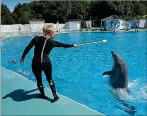  ??  ?? Le parc de Port-Saint-Père abrite huit dauphins, dont deux nés en 2016.