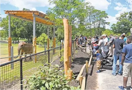  ?? KIM HAIRSTON/BALTIMORE SUN ?? Tuffy, an African elephant, explores the Upper Savanna, part of the new African Journey exhibits at The Maryland Zoo in Baltimore.