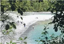  ?? PHOTO: LAURA SMITH ?? Cool, clear water . . . . . . The Blue Pools Track, near Makarora, was busy on Monday