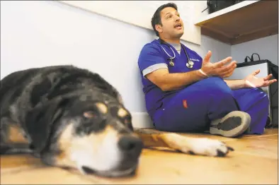  ?? Michael Cummo / Hearst Connecticu­t Media ?? Dr. Nolan Zeide speaks about the hazards of dog flu while sitting next to his dog, Vader, in an exam room at Bull’s Head Pet Hospital on in Stamford on Tuesday. New York City has seen a rise in dog flu cases recently, and more cases have appeared in Stamford and Fairfield County. Below, Vader in the exam room.