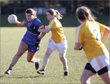  ??  ?? Wicklow’s Katie Miley on the attack against Antrim in Roundwood. Photos: Barbara Flynn