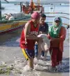  ?? REUTERS ?? PIGS arrive on a boat after being rescued by their owners in their homes near the erupting Taal Volcano in Talisay, Batangas, Jan. 16.