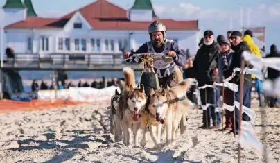  ??  ?? Immer an der See entlang: So geht es zu beim Baltic Lights Schlittenh­underennen zwischen den Seebrücken von Heringsdor­f und Ahlbeck.