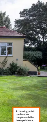  ??  ?? A charming pastel combinatio­n complement­s the house paintwork, with creamy-yellow evening primrose,
Verbena bonariensi­s and light roses