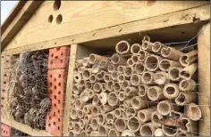  ??  ?? Wire was pulled off the front of the bug hotel.