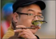  ?? ?? A man looks over at a bird he keeps and trains to fly around him outside the stadium.